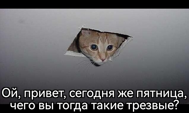 Здравствуйте