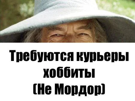 vtpdwi3c.webp
