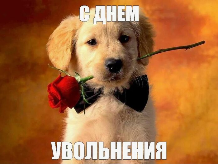 ��� � ���� �� ������� ����� ����� ����� ��-�� ����� �� ���������������