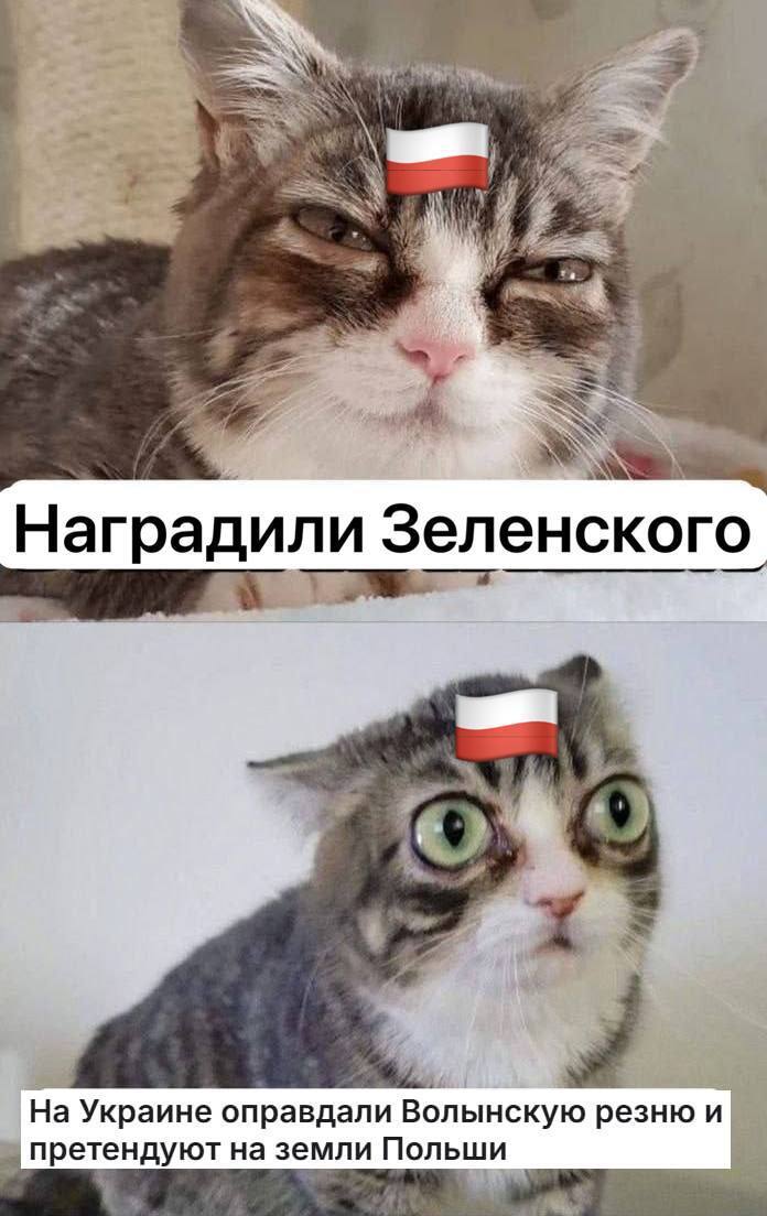 ����� �� ���� ���� ��� �����