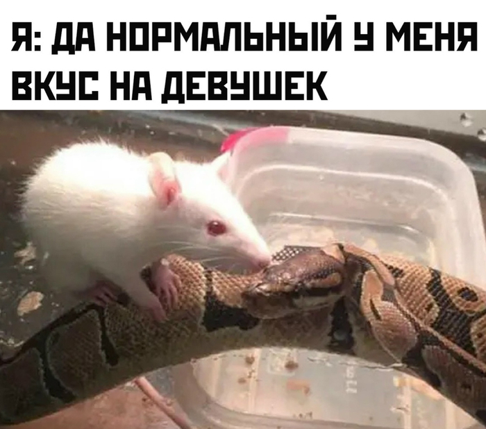 ��������� �����...