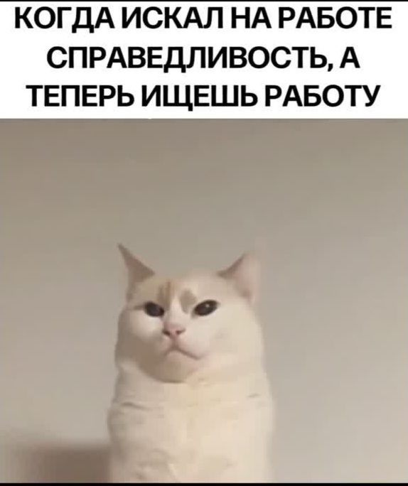 ����� �����, ��� �� ���������