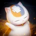 2wisecat