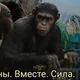 ����� ����� ������ ���� �����������