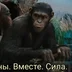 shmyakobstenu