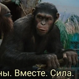 shmyakobstenu