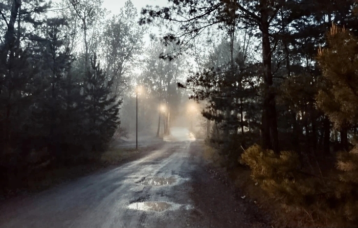 ������� ����