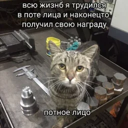 PavlikizKGD