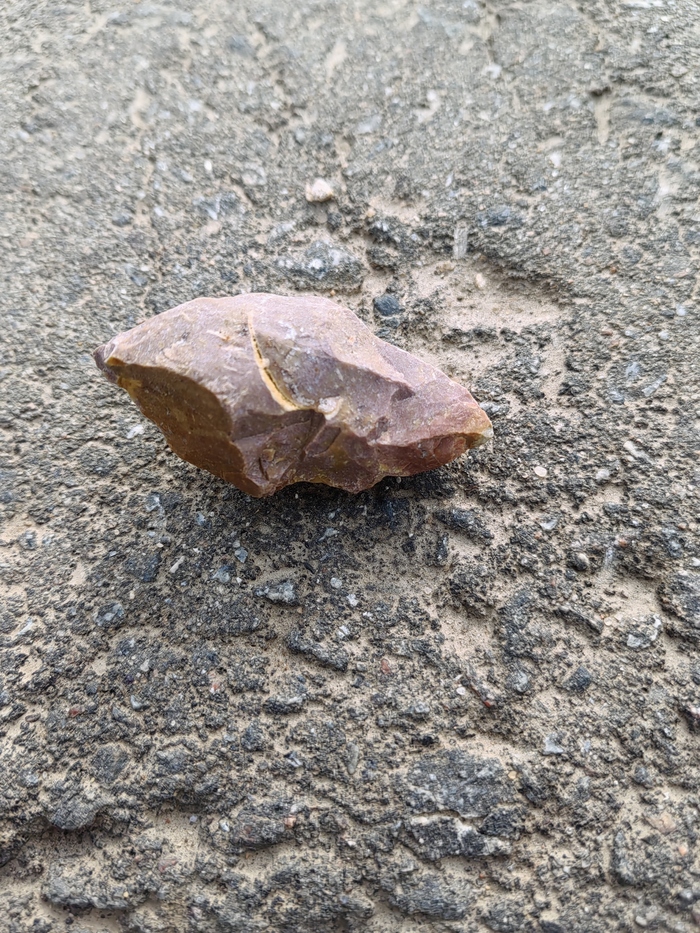 ������������ ������ �4