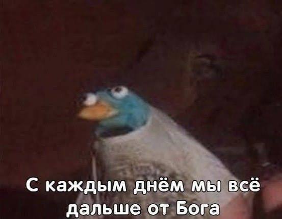 ����� �� ���� �� ��� �� ��������������