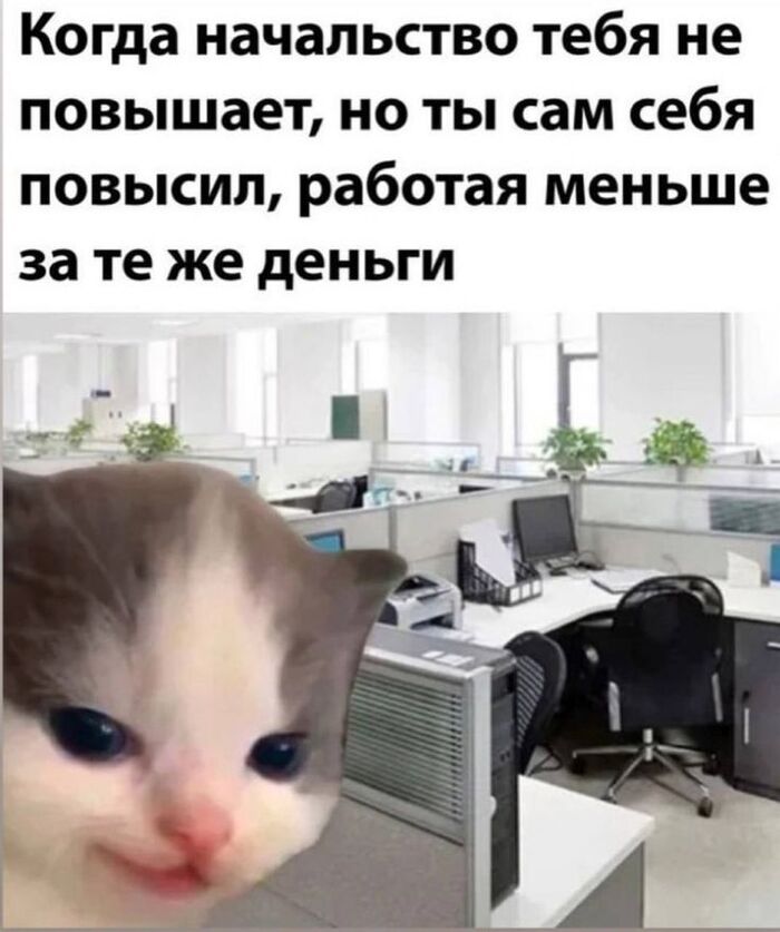��� ������ ��������� ����
