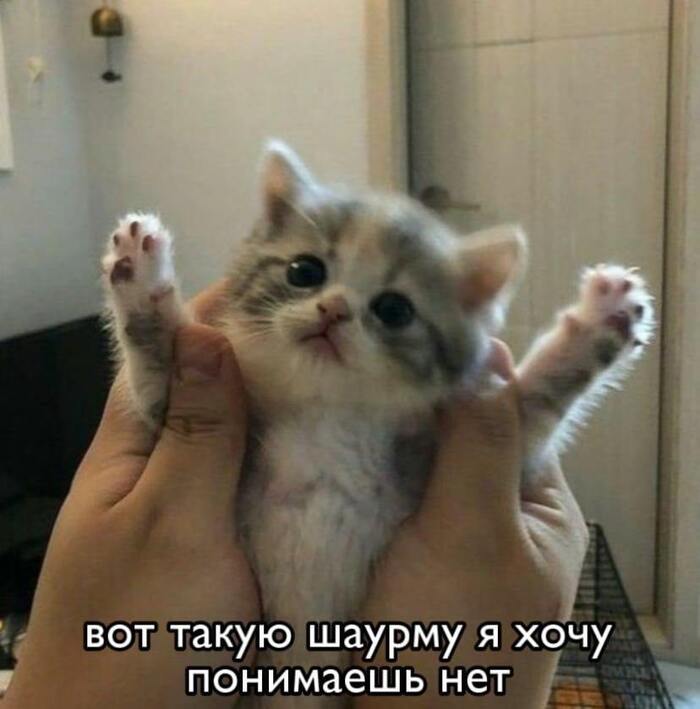 ������� �����,� � ���� ����� ��