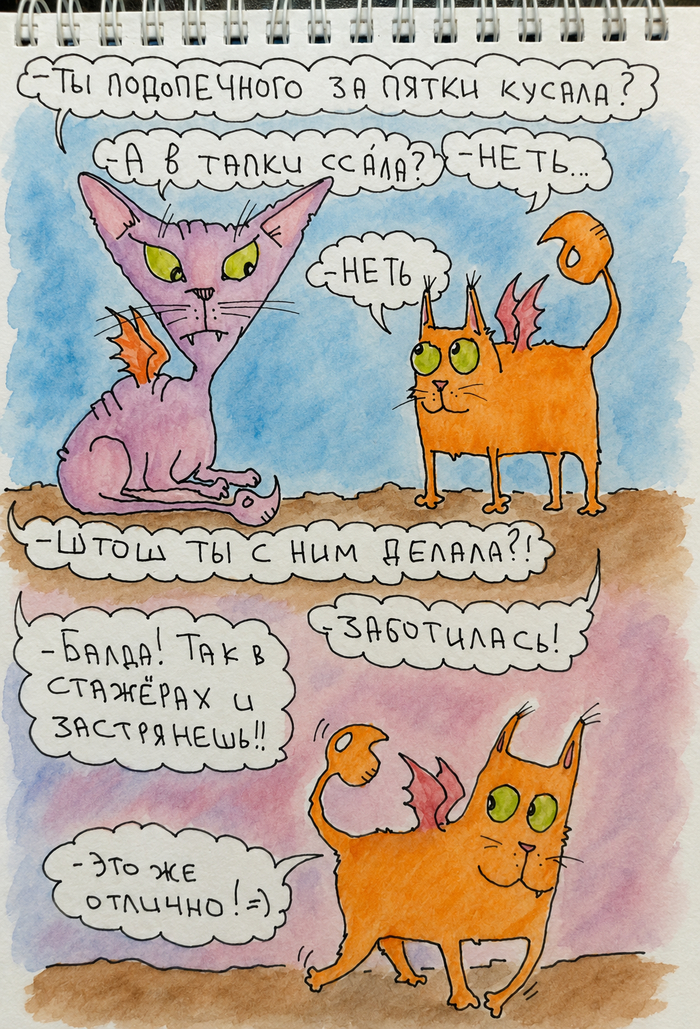 ������ � ����������