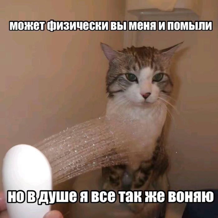 Молодой и борзый