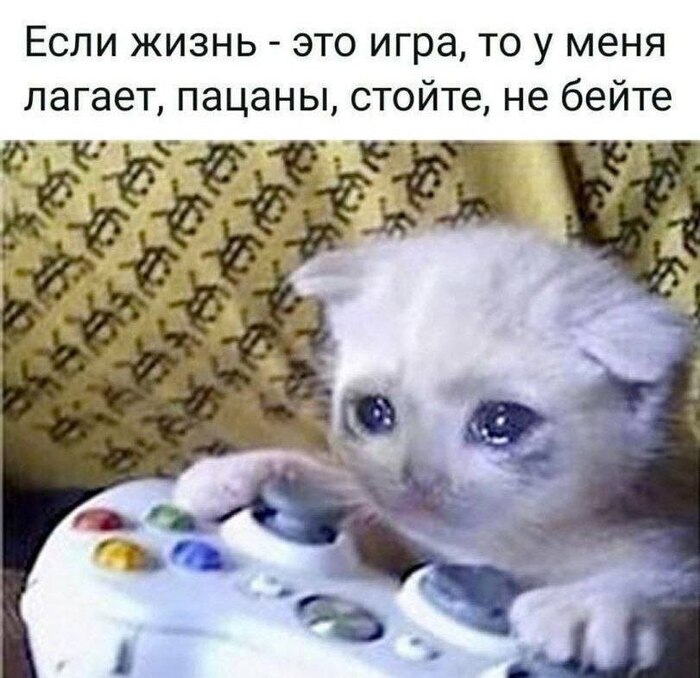 Жизнь зависла