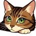 andyCat08