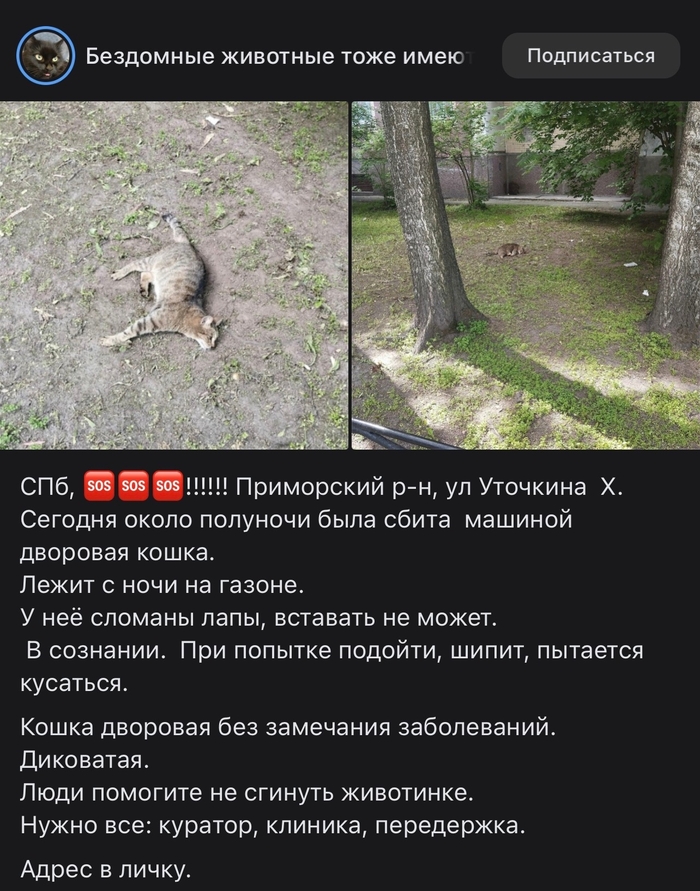���� � ������ � ��������� �� ���� ������ �����