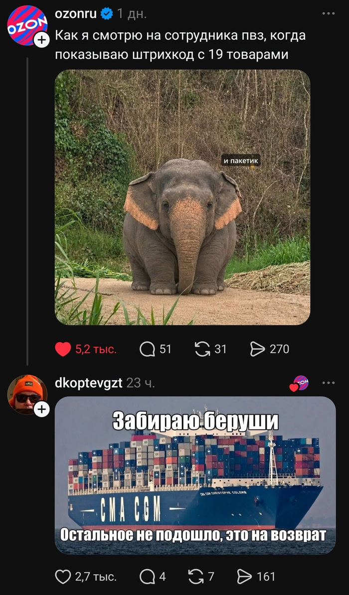 �������� ���