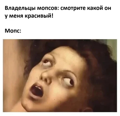 ��� ���� ���