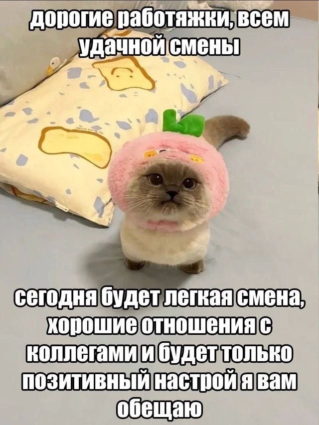 Лето наступило и завтра уже пятница!