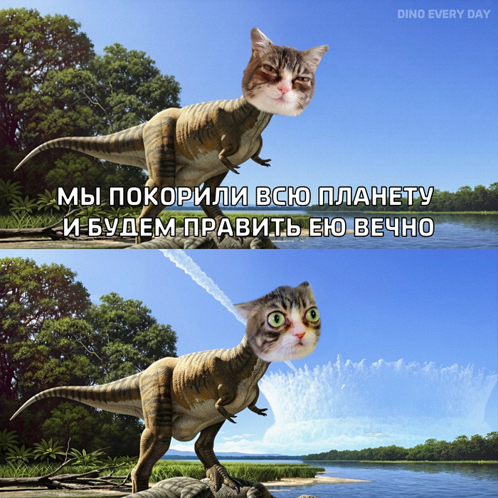 DED