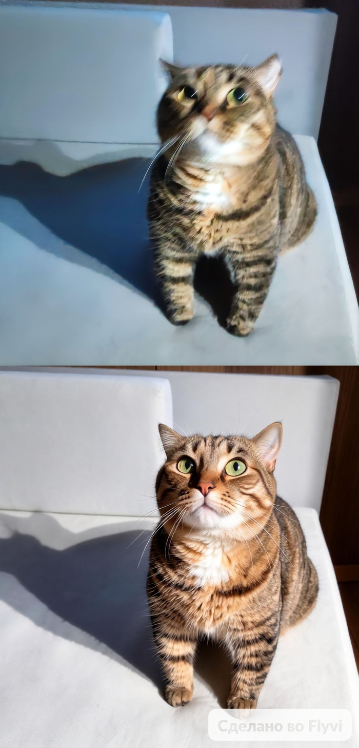 ���, ��� ���