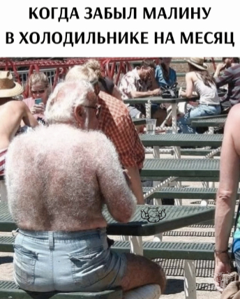 ����� �� ���� ����������������� ���� �������, ������� ���������� �������