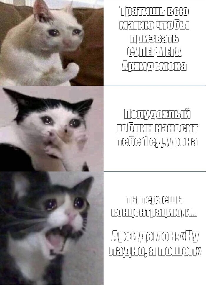 ���������� ���� �����
