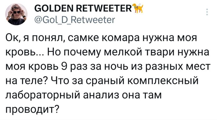 � ���� ���� ������� ������ ���������