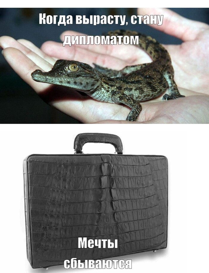 Мечты сбываются