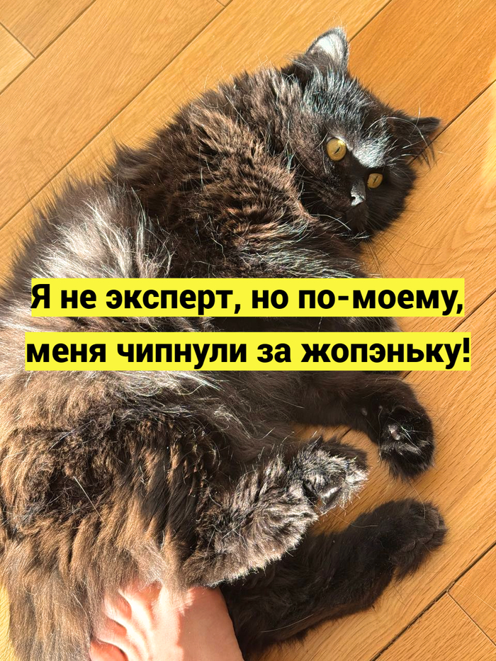 � - ������ �������