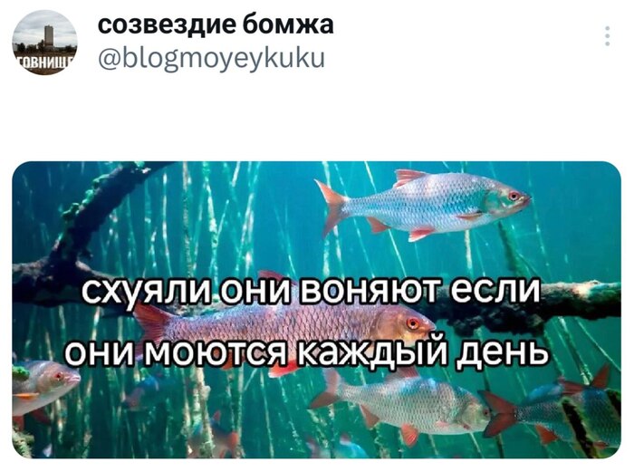 А кстати