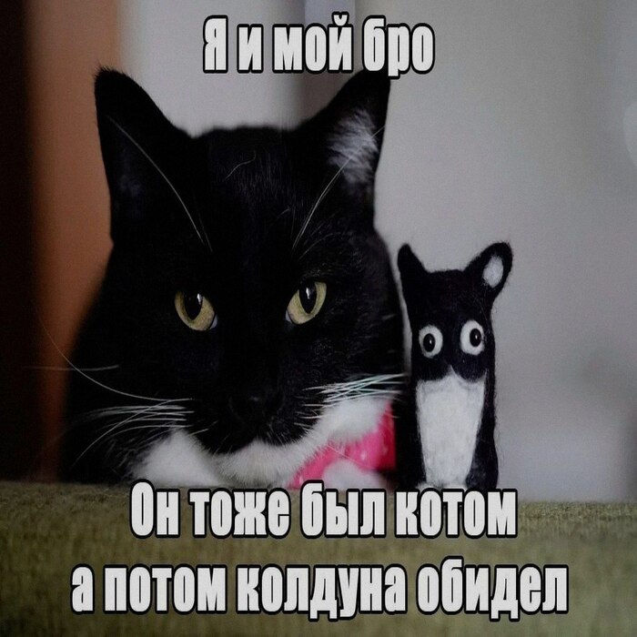 � �� �, ���� ����������!!!