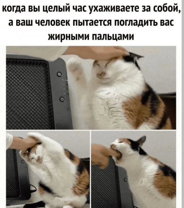 4qxdxg62.webp