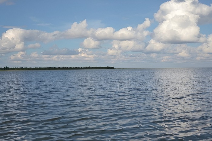 ����� �����. ����: ��������� ��� � ����
