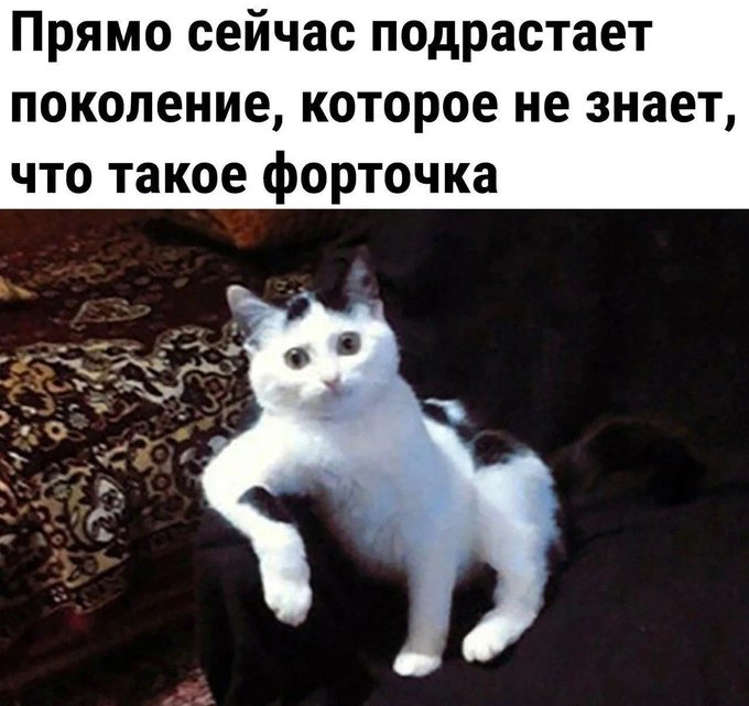 ����� ������