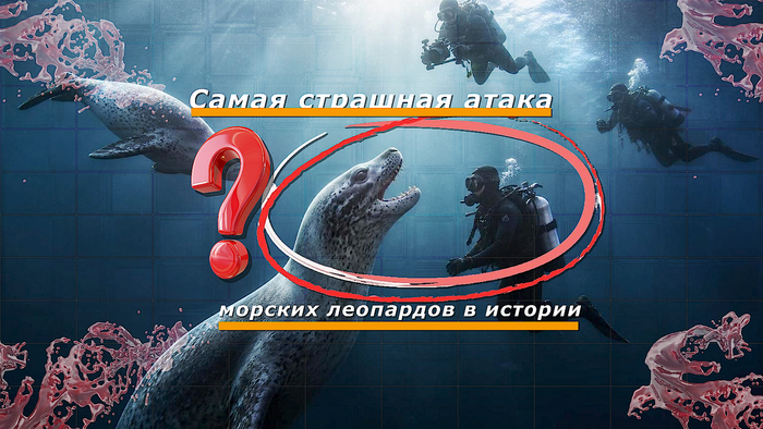 <!--noindex--><a href="https://pikabu.ru/story/samaya_strashnaya_ataka_morskikh_leopardov_v_istorii_14048032?u=https%3A%2F%2Frutube.ru%2Fchannel%2F14429252%2F&t=https%3A%2F%2Frutube.ru%2Fchannel%2F14429252%2F&h=ddf9232d2ed5e8df16445dc8902dd8e46eb6d8b8" title="https://rutube.ru/channel/14429252/" target="_blank" rel="nofollow noopener">https://rutube.ru/channel/14429252/</a><!--/noindex-->