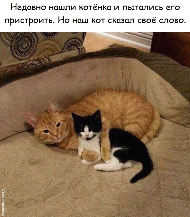 ������!
