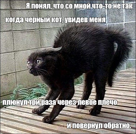 ����� �� ���� "� � ���� ������������"