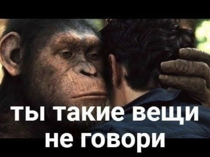 Новые штрафы