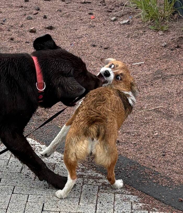 Хихихи 🤭