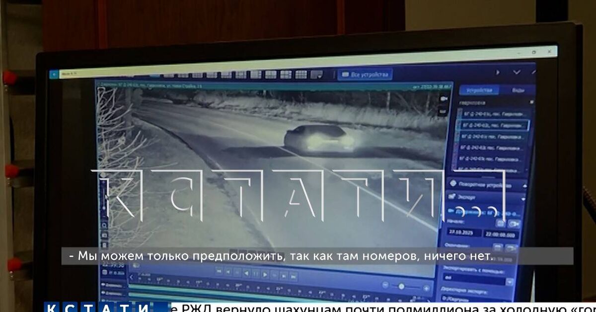 The authoritative Spitz turned out to be - Spitz, Law enforcement, Justice, Расследование, Crime, Youtube, Program by the way, Video, Negative