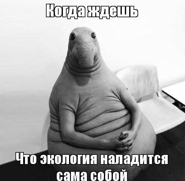 ����, ����� ������ � �������