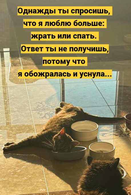 ������