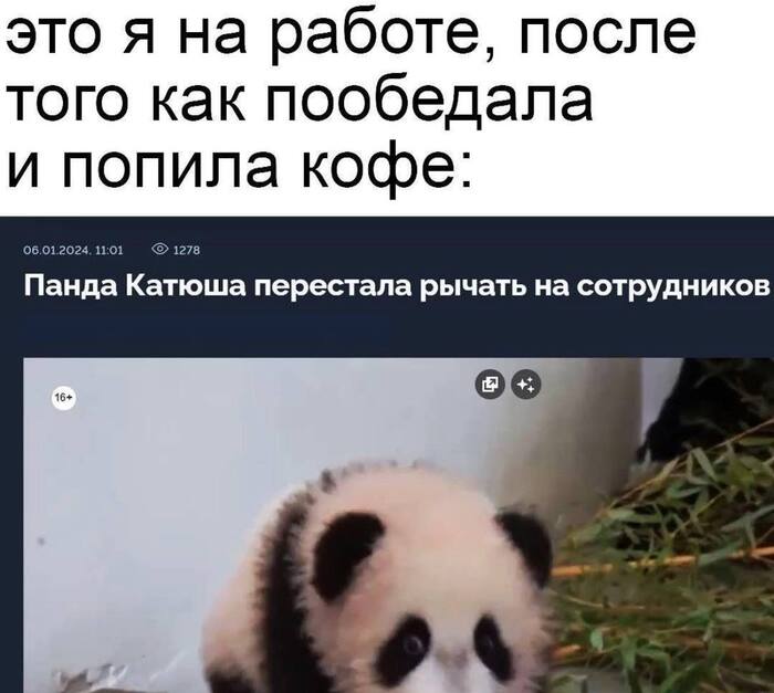 � ����� �� �� ������ ?)