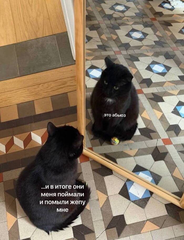 Когда тебя любят, кормят, но иногда предательски моют