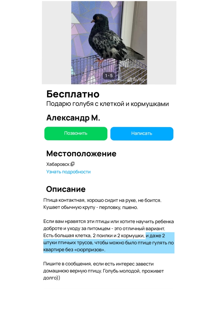 Оказывается есть птичьи трусы