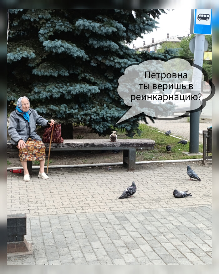 В ожидании маршрутки
