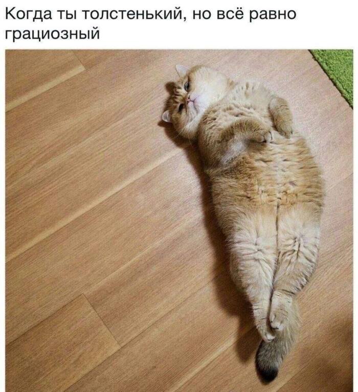 � �������!