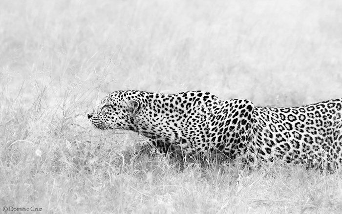������� ������ � �����
